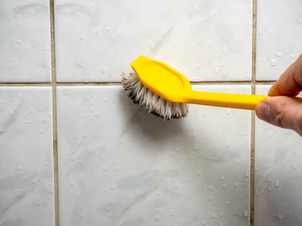 Best Mold Remediation  in Murraysville, NC