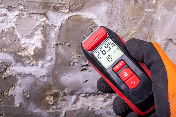 Best Water Damage Restoration  in Murraysville, NC