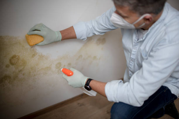 Best Crawl Space Mold Removal  in Murraysville, NC