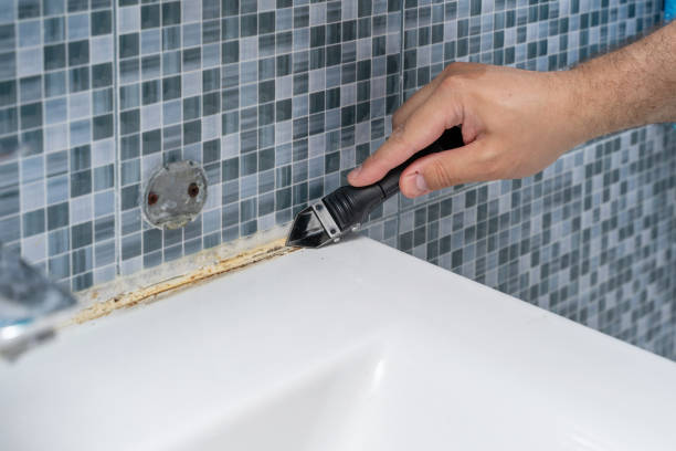Best Residential Mold Removal  in Murraysville, NC