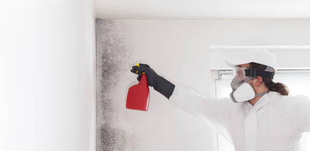 Crawl Space Mold Removal in Murraysville, NC